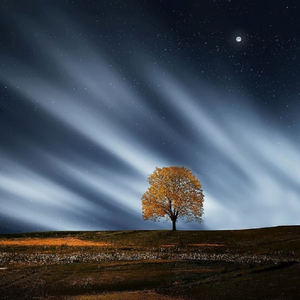 女人舔男人的辣椒
